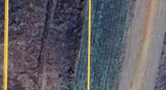 Agriculture / Farm House Land 33+ Guntas